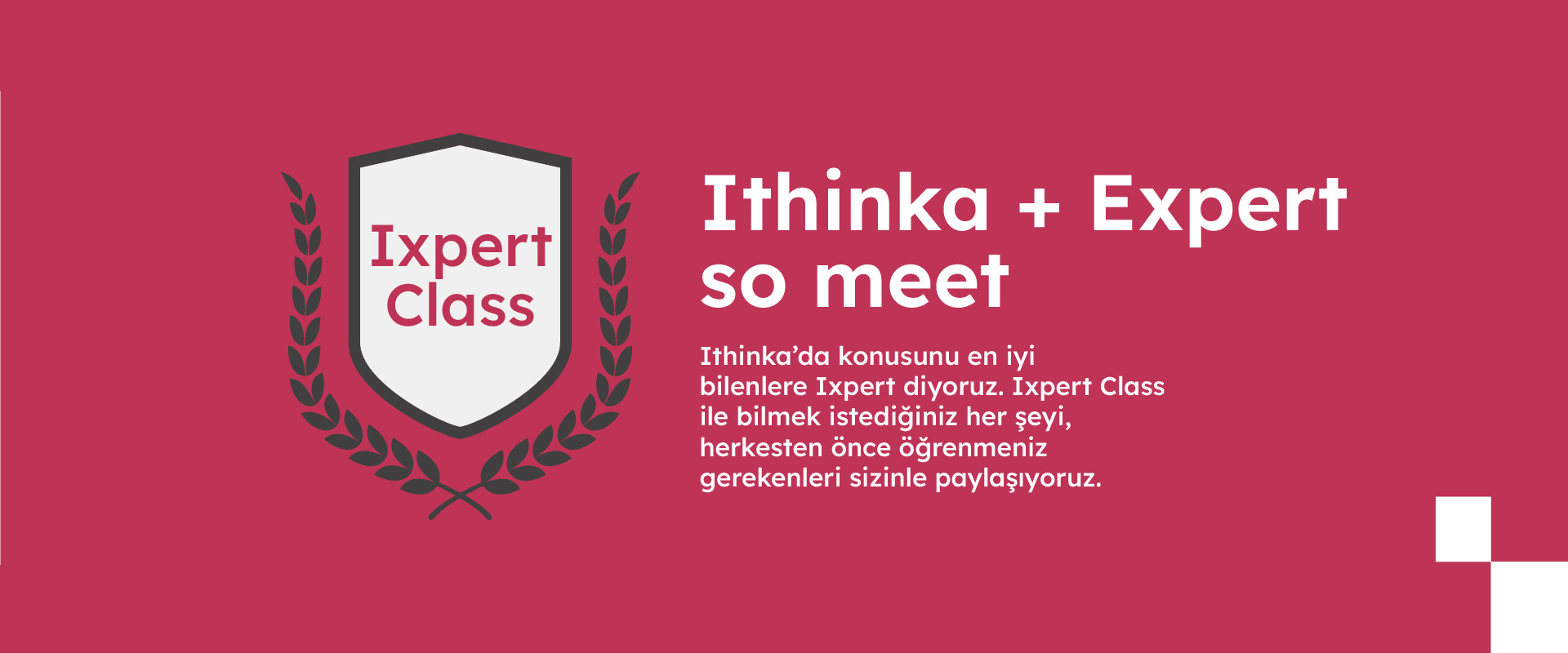 Ithinka + Expert so meet